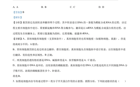 精品解析：重庆市一中2023-2024学年高三12月月考生物试题（解析版）_2024届重庆市第一中学校高三上学期12月月考_重庆市第一中学校2024届高三上学期12月月考生物