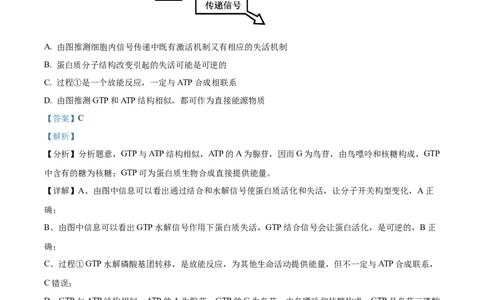 精品解析：重庆市一中2023-2024学年高三12月月考生物试题（解析版）_2024届重庆市第一中学校高三上学期12月月考_重庆市第一中学校2024届高三上学期12月月考生物