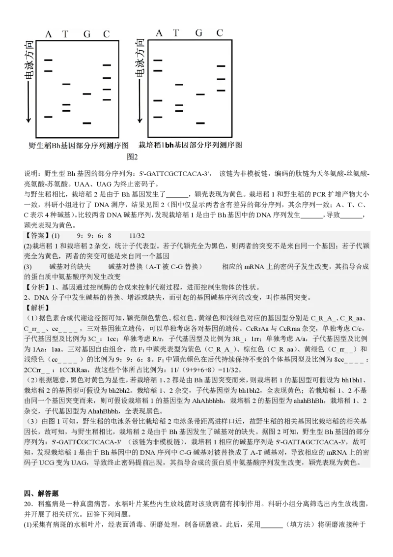 安徽生物-答案_1.高考2025全国各省真题+答案_00.2025各省市高考真题及答案（按省份分类）_10、安徽卷（9科全）_6.生物
