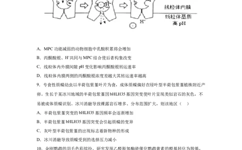 宁夏2025年高考生物真题文档版适用地区：陕西、山西、宁夏、青海_1.高考2025全国各省真题+答案_9.高考生物真题答案更新中