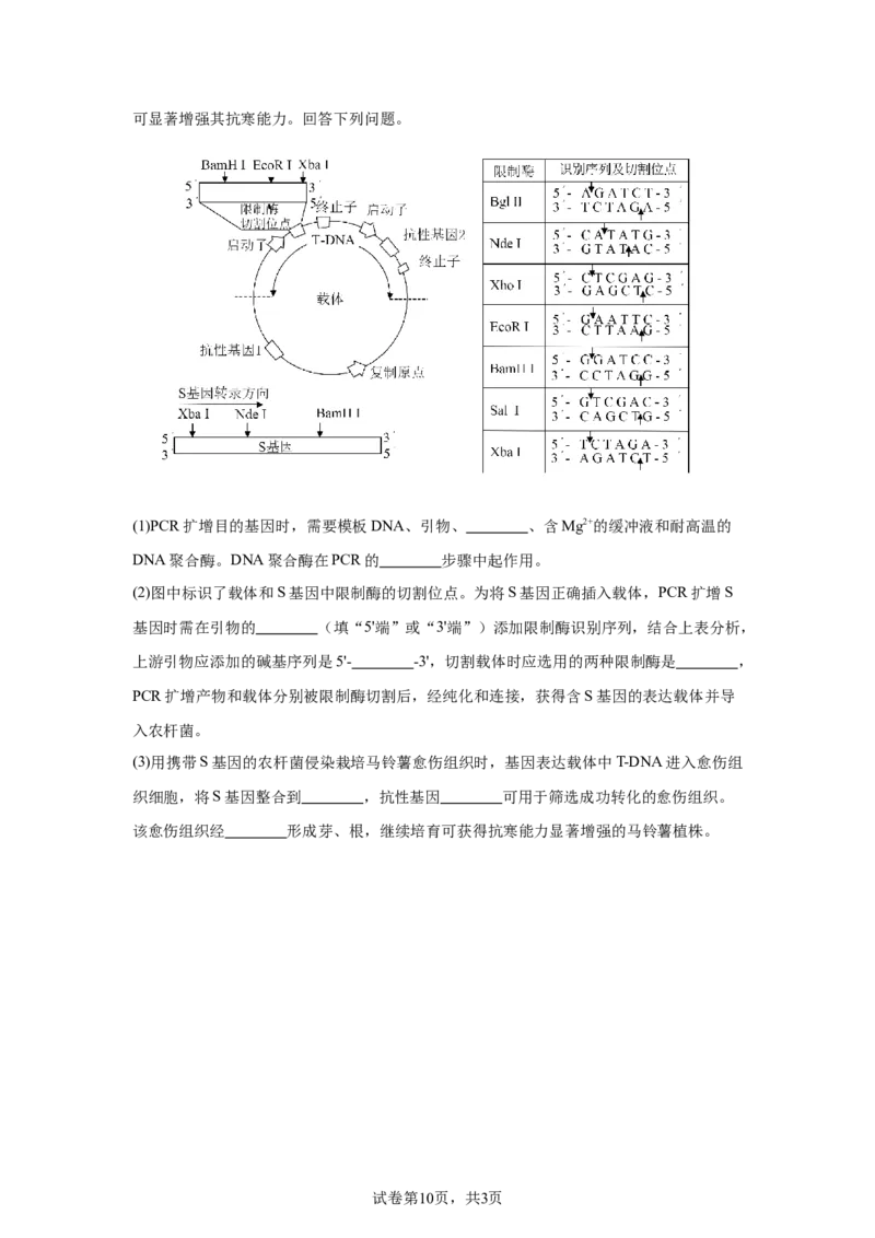 宁夏2025年高考生物真题文档版适用地区：陕西、山西、宁夏、青海_1.高考2025全国各省真题+答案_9.高考生物真题答案更新中