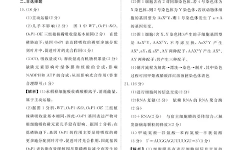 生物试卷答案_2025年12月_251220湖北省衡水金卷2026届高三年级上学期12月阶段性测试（全科）_湖北省衡水金卷2026届高三上学期12月阶段性测试生物试卷（含答案）