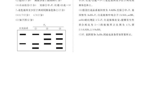 生物试卷答案_2025年12月_251220湖北省衡水金卷2026届高三年级上学期12月阶段性测试（全科）_湖北省衡水金卷2026届高三上学期12月阶段性测试生物试卷（含答案）
