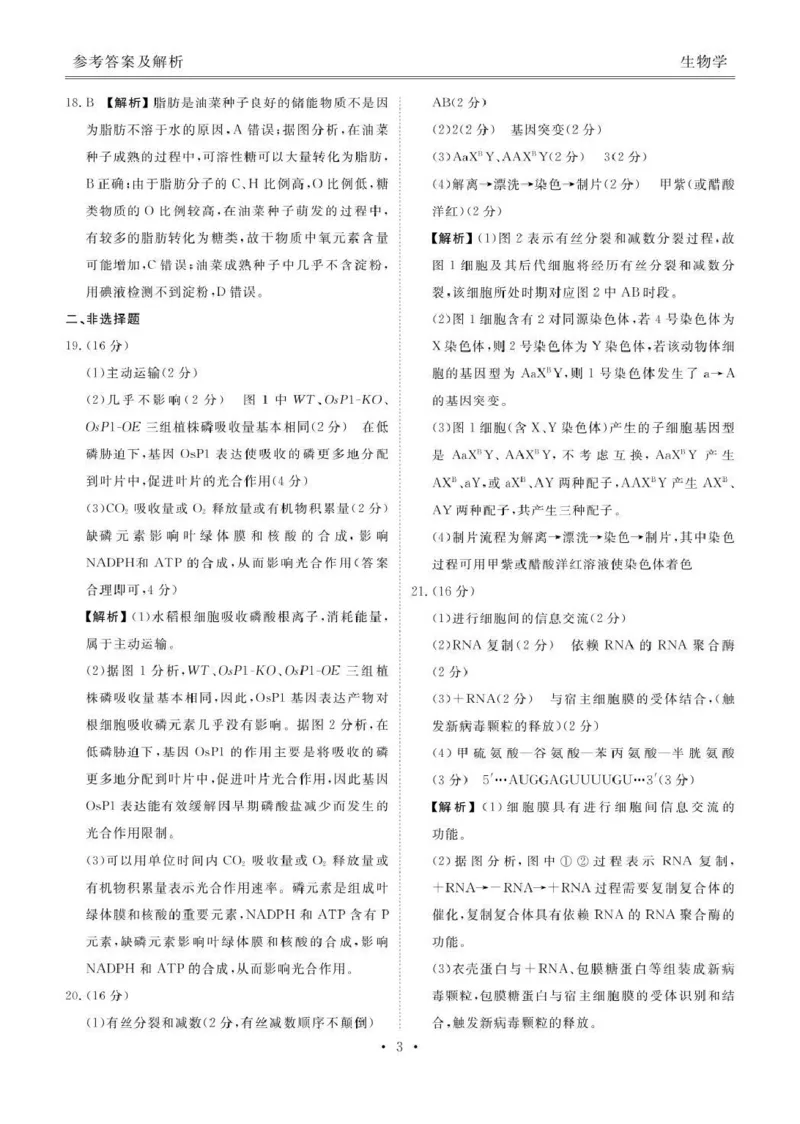 生物试卷答案_2025年12月_251220湖北省衡水金卷2026届高三年级上学期12月阶段性测试（全科）_湖北省衡水金卷2026届高三上学期12月阶段性测试生物试卷（含答案）
