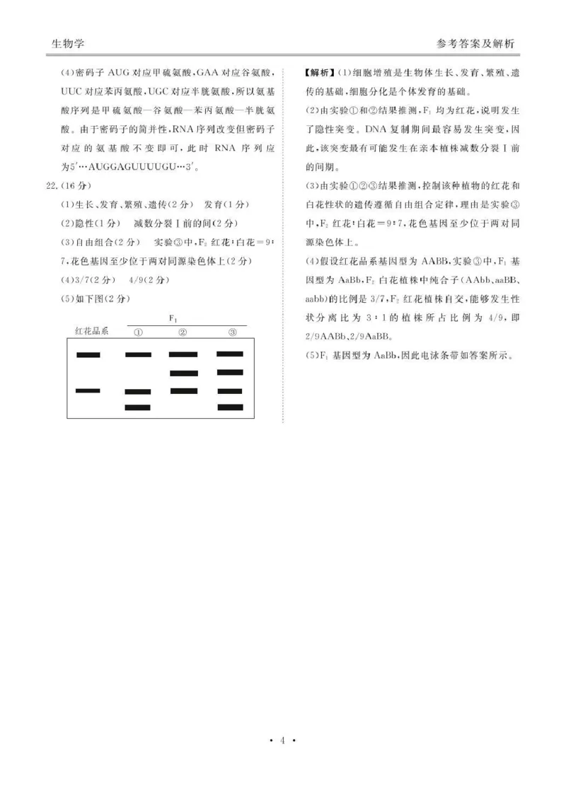 生物试卷答案_2025年12月_251220湖北省衡水金卷2026届高三年级上学期12月阶段性测试（全科）_湖北省衡水金卷2026届高三上学期12月阶段性测试生物试卷（含答案）
