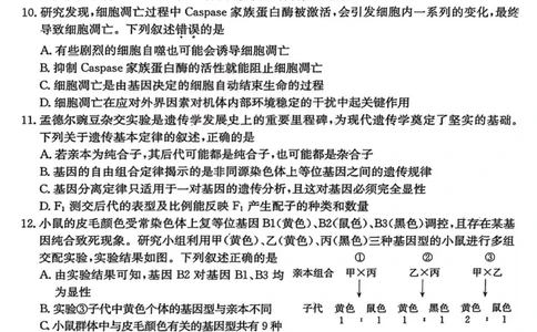 生物-山西三晋卓越联盟2025-2026学年高三12月质量检测_2025年12月_251206山西三晋卓越联盟2025-2026学年高三12月质量检测（全科）