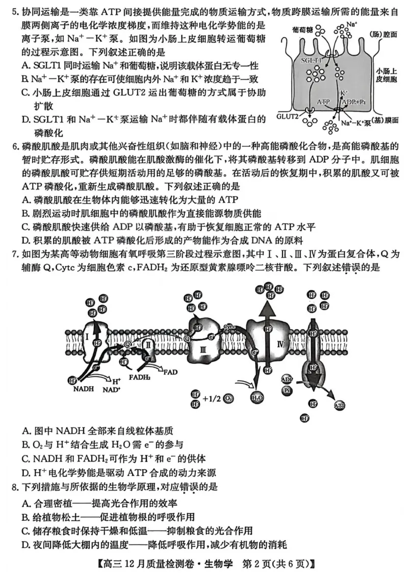生物-山西三晋卓越联盟2025-2026学年高三12月质量检测_2025年12月_251206山西三晋卓越联盟2025-2026学年高三12月质量检测（全科）