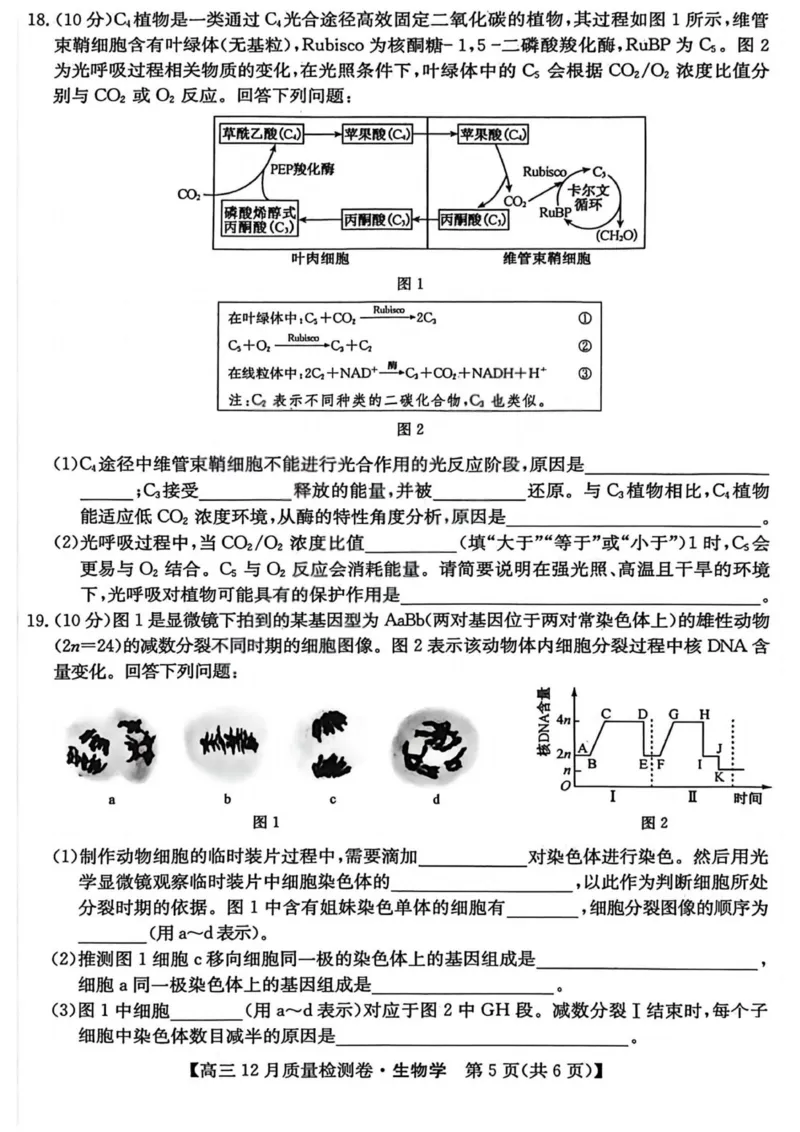 生物-山西三晋卓越联盟2025-2026学年高三12月质量检测_2025年12月_251206山西三晋卓越联盟2025-2026学年高三12月质量检测（全科）