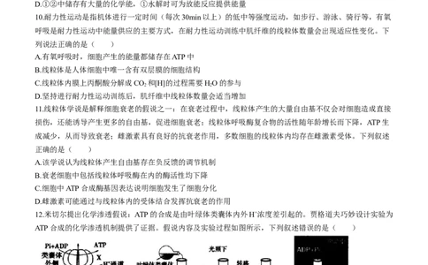 内蒙古自治区呼和浩特市2024届高三上学期期末教学质量检测生物_2024届内蒙古自治区呼和浩特市高三上学期期末教学质量检测