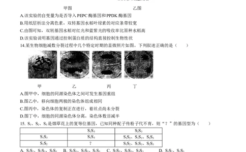 内蒙古自治区呼和浩特市2024届高三上学期期末教学质量检测生物_2024届内蒙古自治区呼和浩特市高三上学期期末教学质量检测