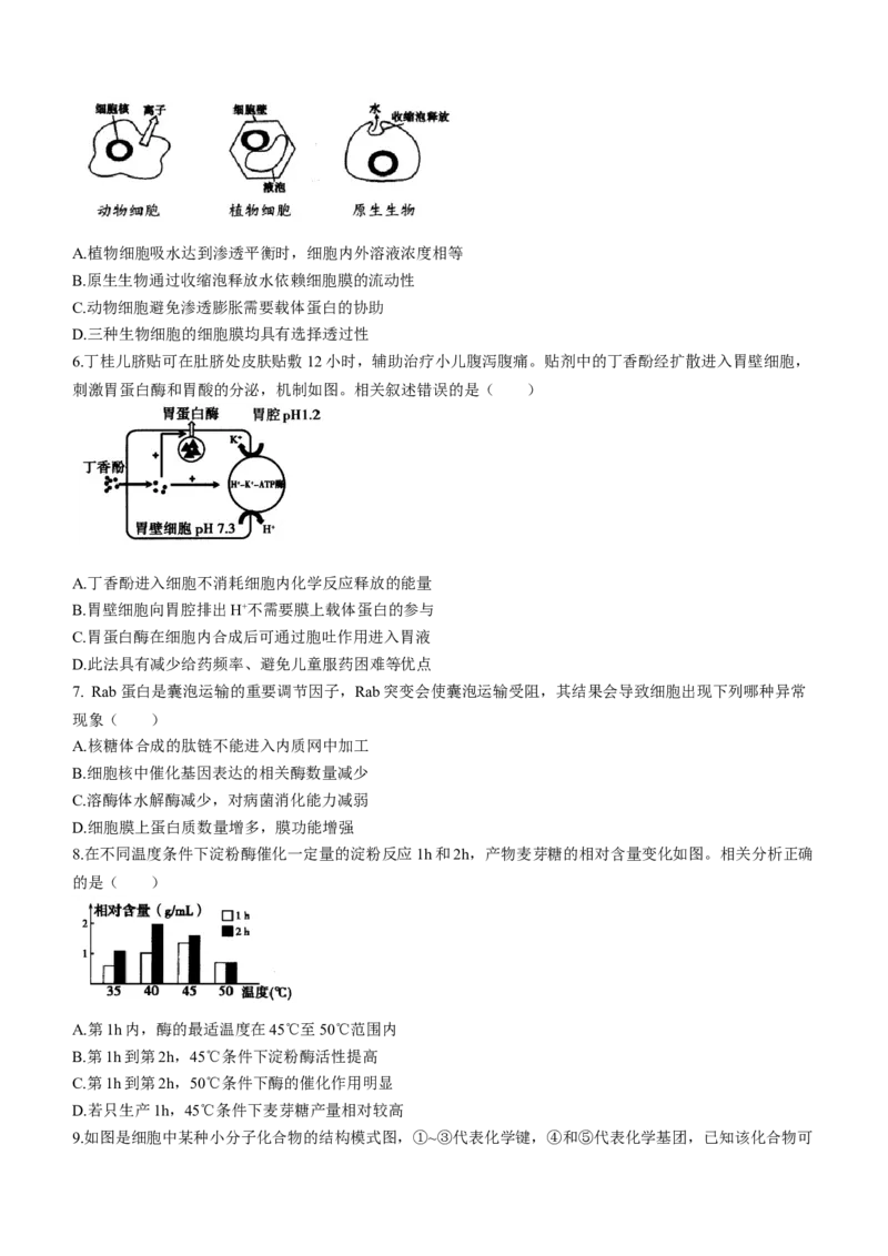 内蒙古自治区呼和浩特市2024届高三上学期期末教学质量检测生物_2024届内蒙古自治区呼和浩特市高三上学期期末教学质量检测