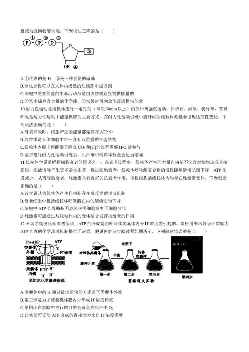 内蒙古自治区呼和浩特市2024届高三上学期期末教学质量检测生物_2024届内蒙古自治区呼和浩特市高三上学期期末教学质量检测