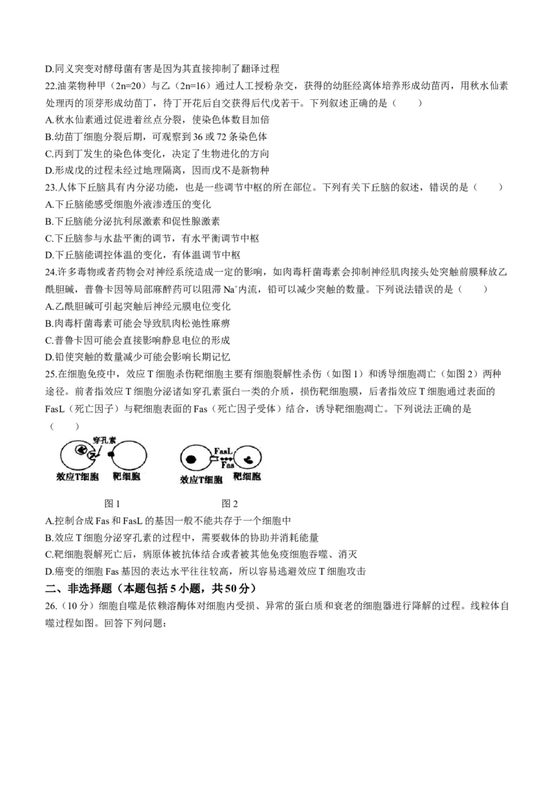 内蒙古自治区呼和浩特市2024届高三上学期期末教学质量检测生物_2024届内蒙古自治区呼和浩特市高三上学期期末教学质量检测