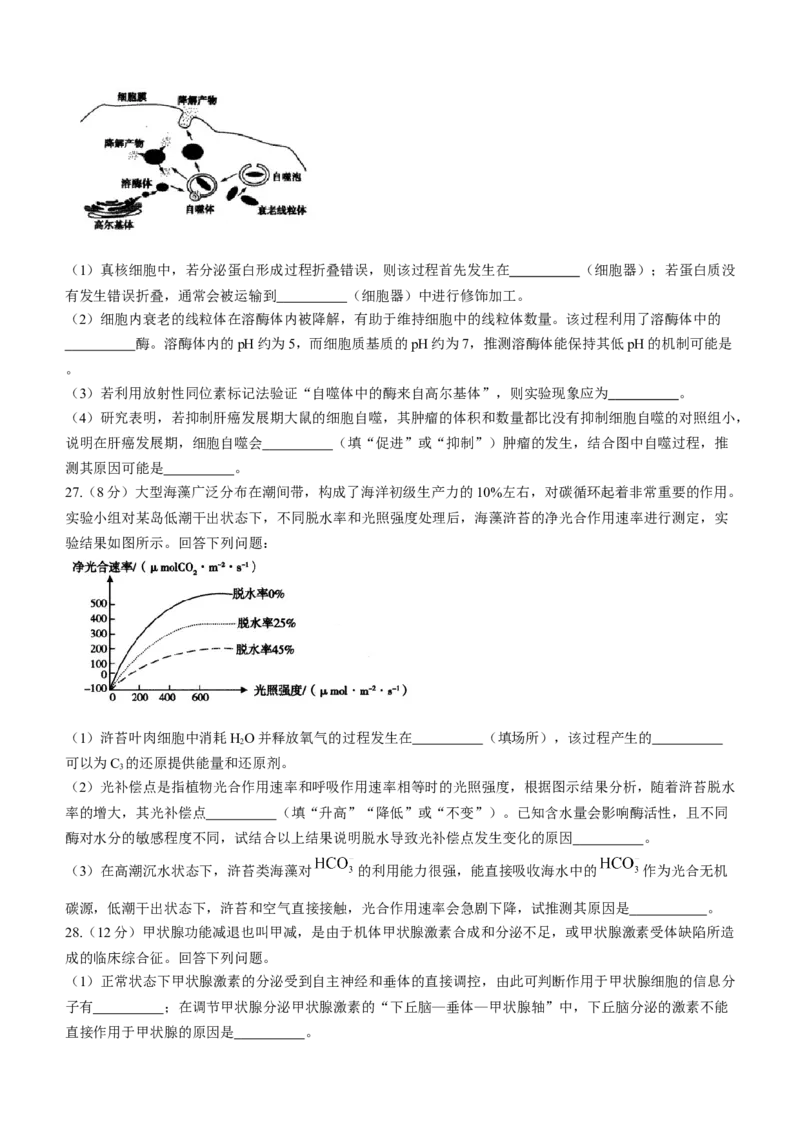 内蒙古自治区呼和浩特市2024届高三上学期期末教学质量检测生物_2024届内蒙古自治区呼和浩特市高三上学期期末教学质量检测