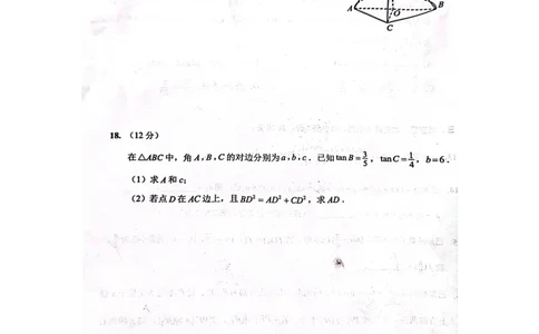 江苏省南通市2024届高三第一次调研测试数学试题_2024届江苏省南通市高三第一次调研测试（南通一模）_江苏省南通市2024届高三第一次调研测试（南通一模）数学