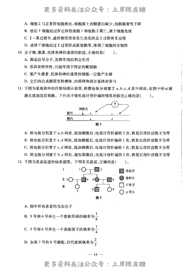 生物学科知识与教学能力（高级中学）标准预测试卷_4-教培资料-26年最新资料-同步更新_初中高中教资_03科三专项（进去保存报考的学科即可）_08初高中科三标准模拟卷_高中