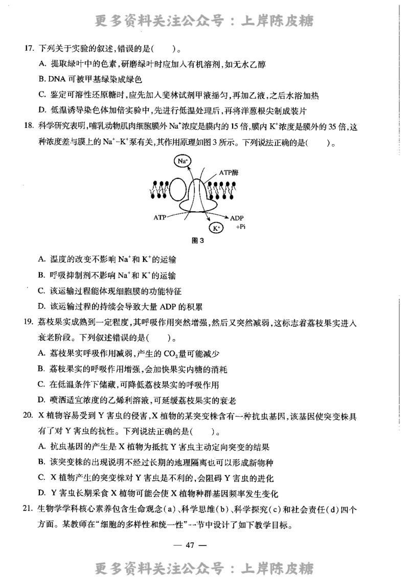 生物学科知识与教学能力（高级中学）标准预测试卷_4-教培资料-26年最新资料-同步更新_初中高中教资_03科三专项（进去保存报考的学科即可）_08初高中科三标准模拟卷_高中
