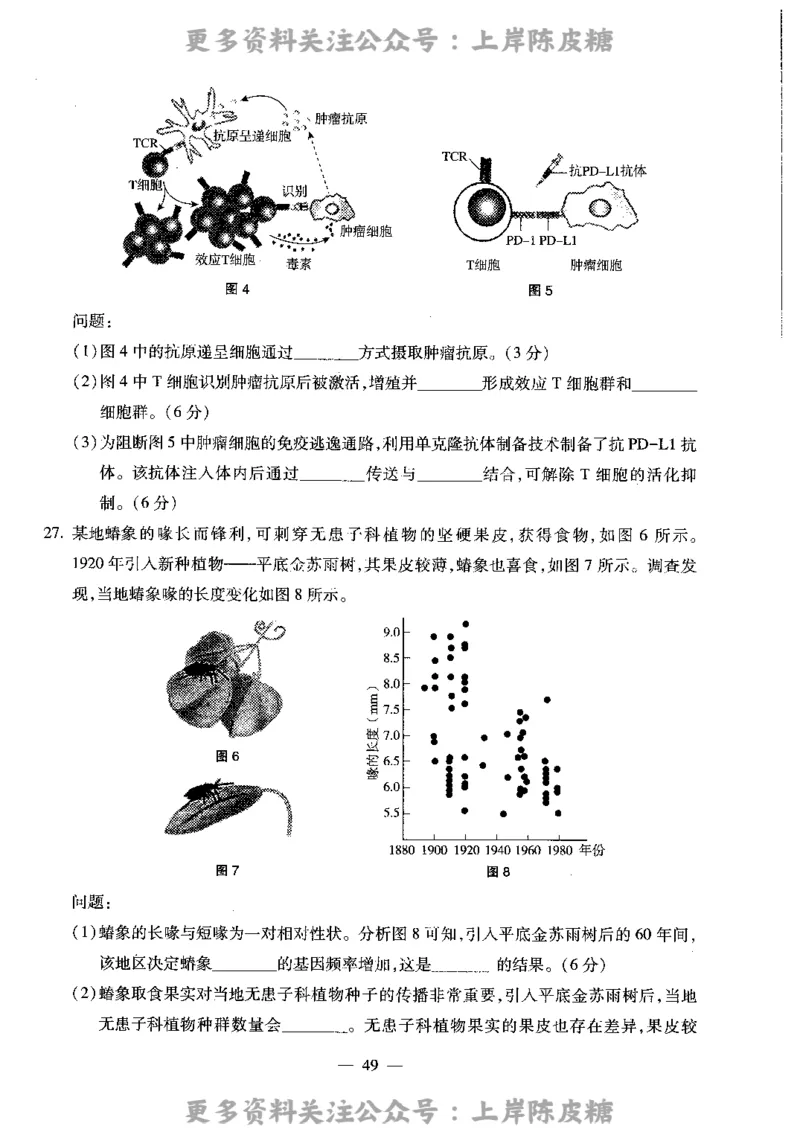 生物学科知识与教学能力（高级中学）标准预测试卷_4-教培资料-26年最新资料-同步更新_初中高中教资_03科三专项（进去保存报考的学科即可）_08初高中科三标准模拟卷_高中