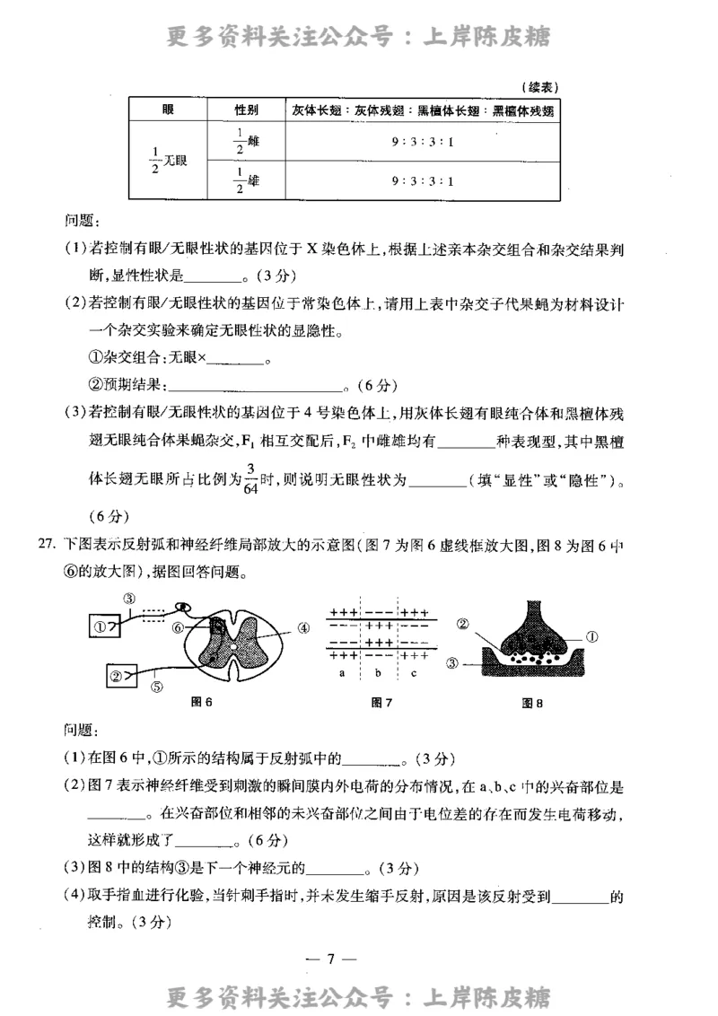 生物学科知识与教学能力（高级中学）标准预测试卷_4-教培资料-26年最新资料-同步更新_初中高中教资_03科三专项（进去保存报考的学科即可）_08初高中科三标准模拟卷_高中