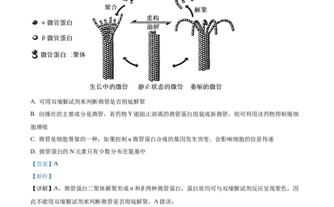 湖南省衡阳市雁峰区衡阳市第八中学2025-2026学年高三上学期11月期中生物试题Word版含解析_2025年11月_251112湖南省衡阳市第八中学2026届高三上学期期中考试（全科）