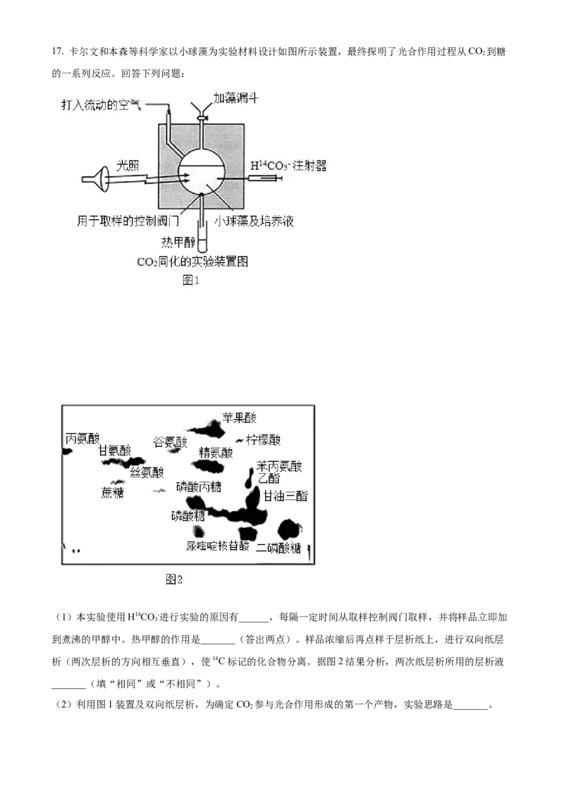 湖南省衡阳市雁峰区衡阳市第八中学2025-2026学年高三上学期11月期中生物试题Word版含解析_2025年11月_251112湖南省衡阳市第八中学2026届高三上学期期中考试（全科）