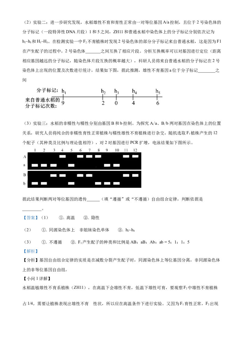 湖南省衡阳市雁峰区衡阳市第八中学2025-2026学年高三上学期11月期中生物试题Word版含解析_2025年11月_251112湖南省衡阳市第八中学2026届高三上学期期中考试（全科）