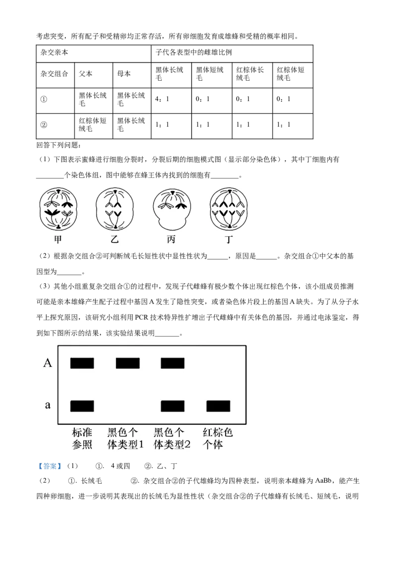 湖南省衡阳市雁峰区衡阳市第八中学2025-2026学年高三上学期11月期中生物试题Word版含解析_2025年11月_251112湖南省衡阳市第八中学2026届高三上学期期中考试（全科）