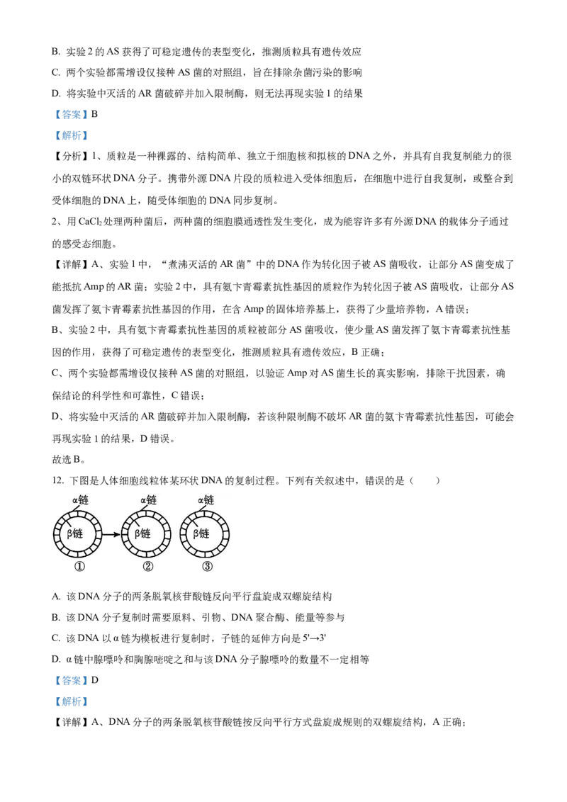 湖南省衡阳市雁峰区衡阳市第八中学2025-2026学年高三上学期11月期中生物试题Word版含解析_2025年11月_251112湖南省衡阳市第八中学2026届高三上学期期中考试（全科）