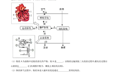 精品解析：2022年湖北省恩施州中考生物真题（原卷版）_中考真题_8.生物中考真题2015-2024年_2022年全国中考生物114份14