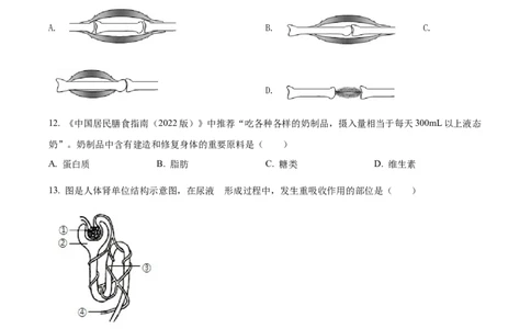 精品解析：2022年湖南省怀化市中考生物真题（原卷版）_中考真题_8.生物中考真题2015-2024年_地区卷_湖南省_怀化生物（只有2022