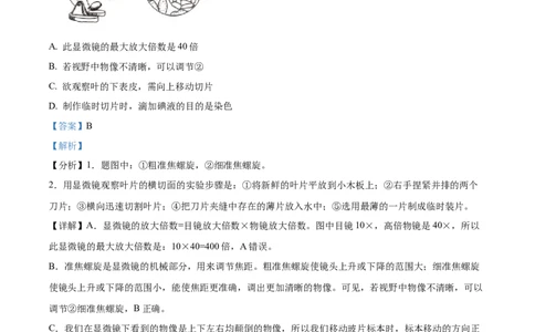 精品解析：2023年山东省滨州市中考生物真题（解析版）(1)_中考真题_8.生物中考真题2015-2024年_2023年全国中考生物7.20_精品解析：2023年山东省滨州市中考生物真题