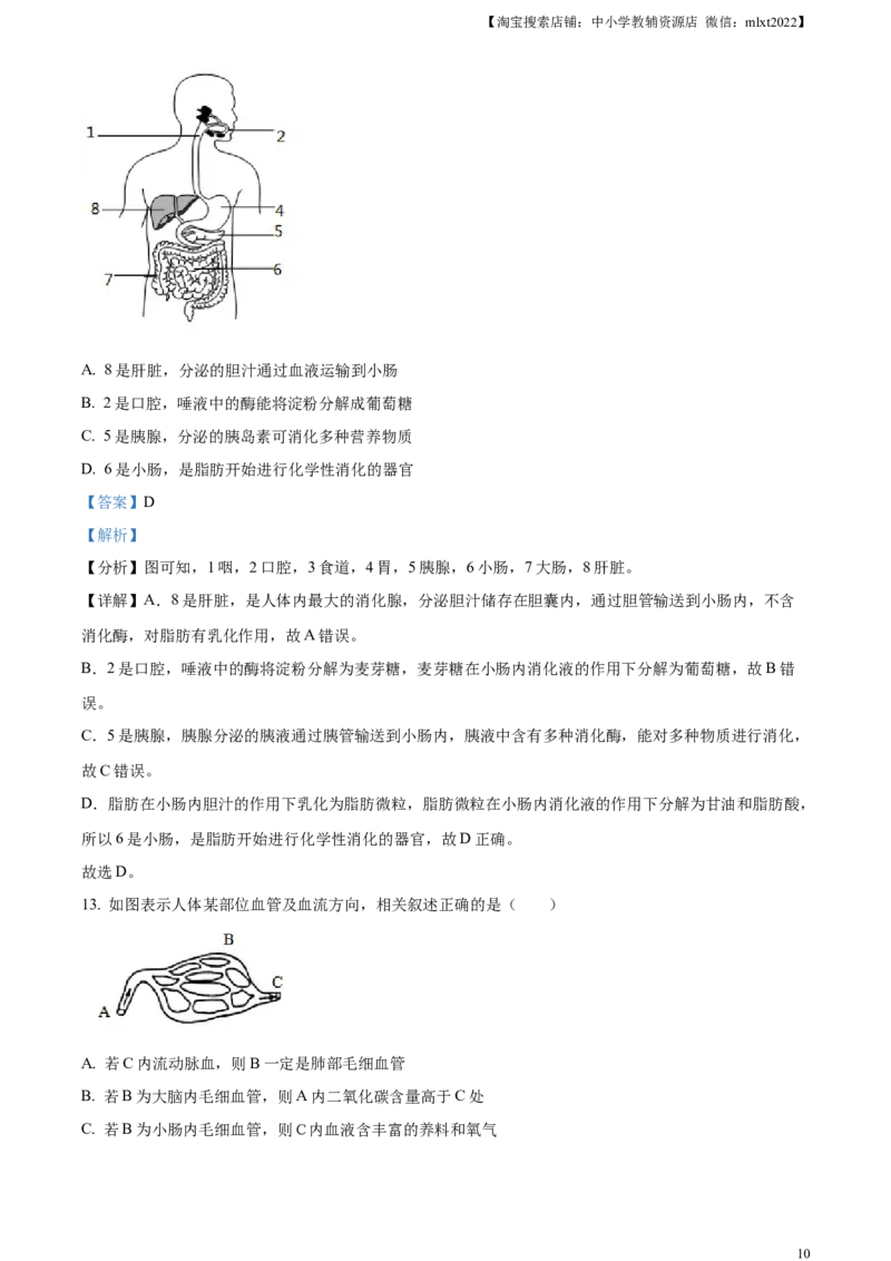 精品解析：2023年山东省滨州市中考生物真题（解析版）(1)_中考真题_8.生物中考真题2015-2024年_2023年全国中考生物7.20_精品解析：2023年山东省滨州市中考生物真题