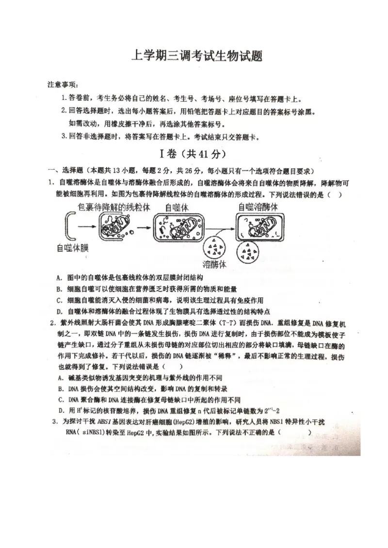 河北省武邑中学2024届高三上学期三调考试生物_2024届河北省武邑中学高三上学期三调考试