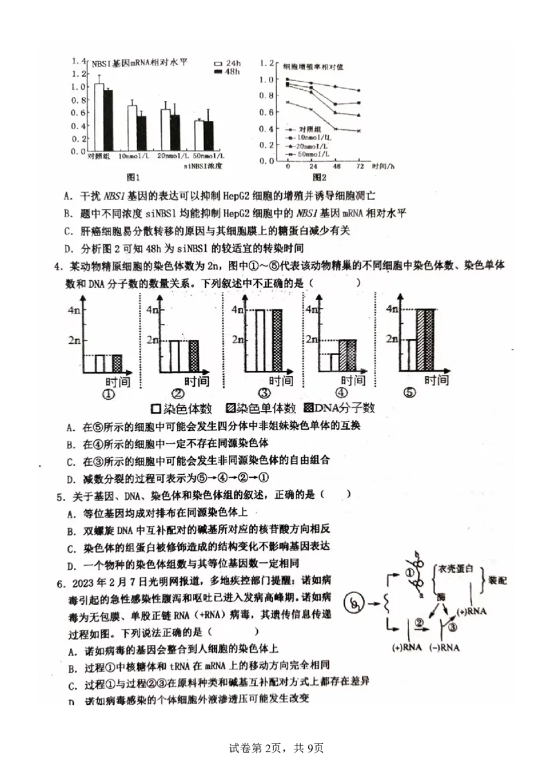 河北省武邑中学2024届高三上学期三调考试生物_2024届河北省武邑中学高三上学期三调考试