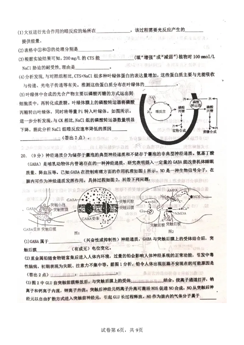 河北省武邑中学2024届高三上学期三调考试生物_2024届河北省武邑中学高三上学期三调考试