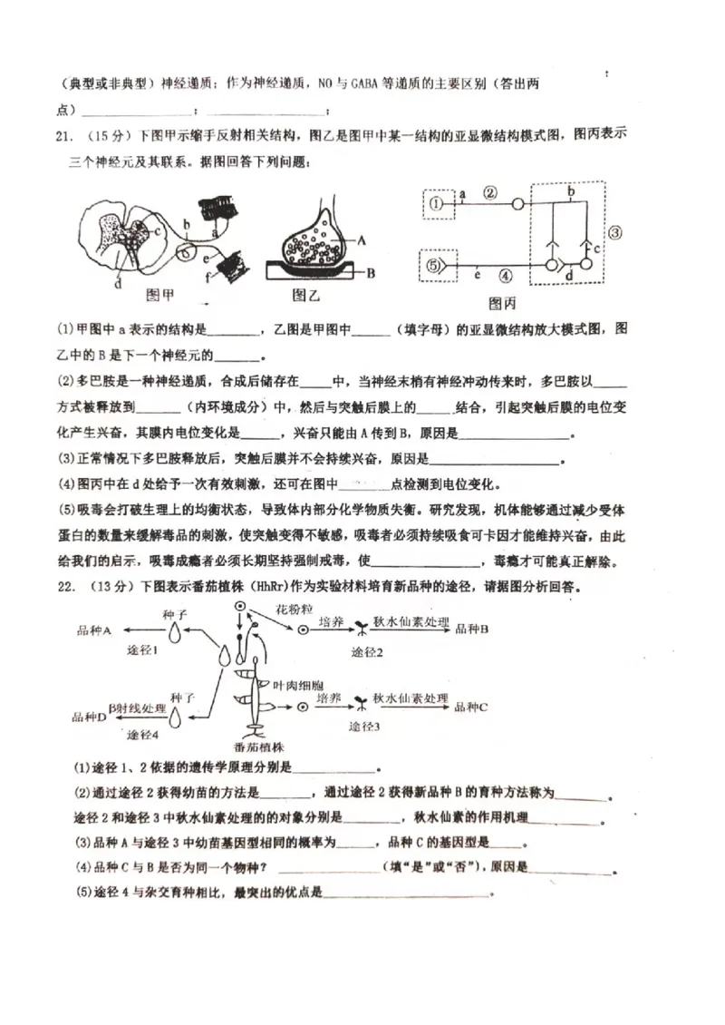 河北省武邑中学2024届高三上学期三调考试生物_2024届河北省武邑中学高三上学期三调考试