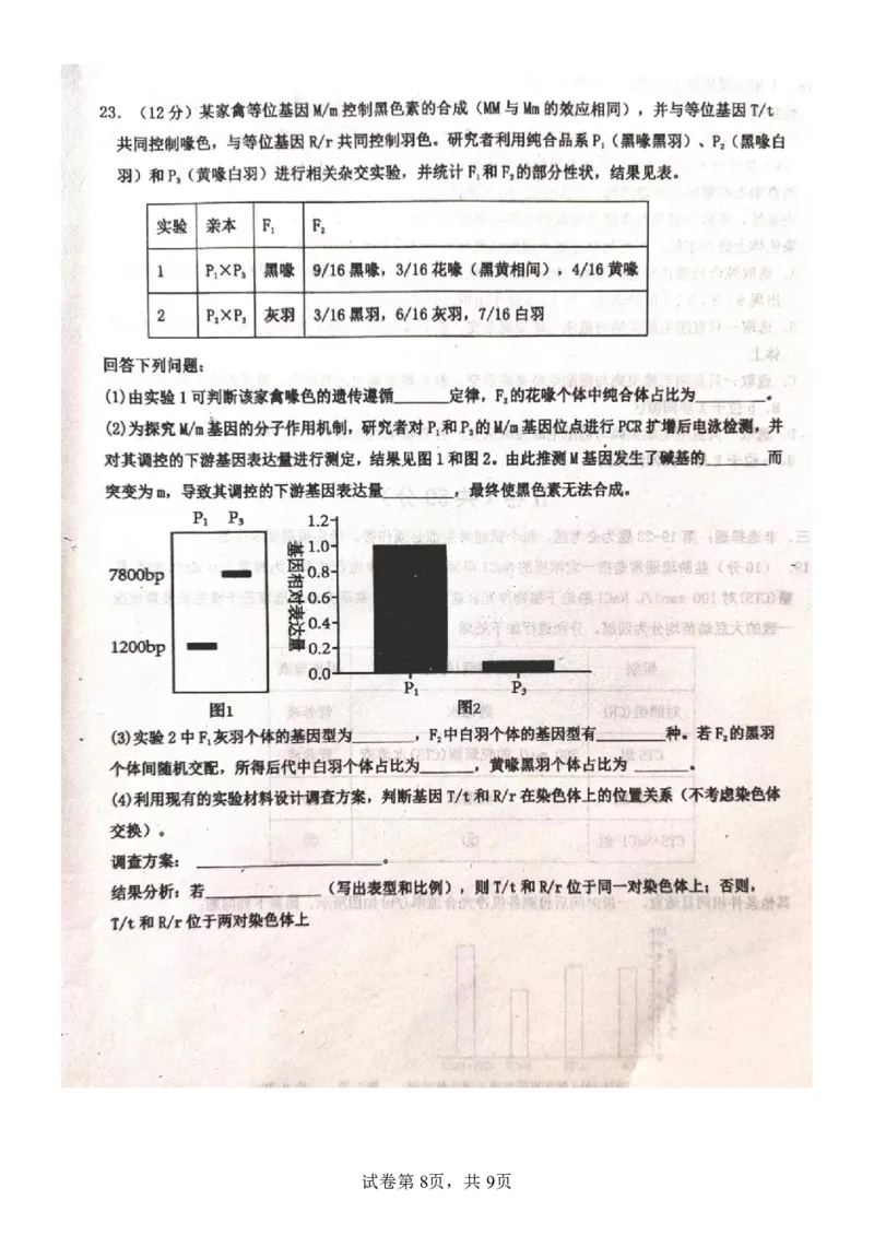 河北省武邑中学2024届高三上学期三调考试生物_2024届河北省武邑中学高三上学期三调考试