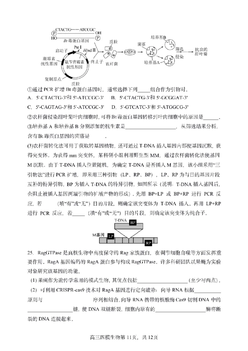 黑龙江省哈尔滨市第三中学校2025届高三第四次模拟考试生物_2025年6月_250602黑龙江省哈尔滨市第三中学校2025届高三第四次模拟考试（全科）