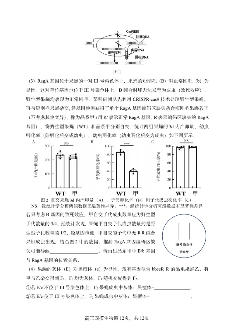 黑龙江省哈尔滨市第三中学校2025届高三第四次模拟考试生物_2025年6月_250602黑龙江省哈尔滨市第三中学校2025届高三第四次模拟考试（全科）