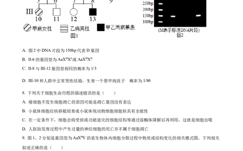 精品解析：2024届山东省名校高三模拟预测生物试题（原卷版）_2024届山东省高中名校高三上学期12月统一调研考试_山东省高中名校2024届高三上学期12月统一调研考试生物