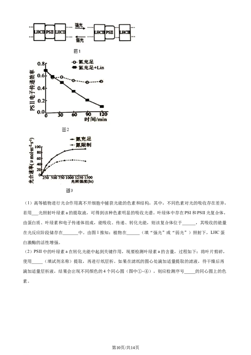精品解析：2024届山东省名校高三模拟预测生物试题（原卷版）_2024届山东省高中名校高三上学期12月统一调研考试_山东省高中名校2024届高三上学期12月统一调研考试生物