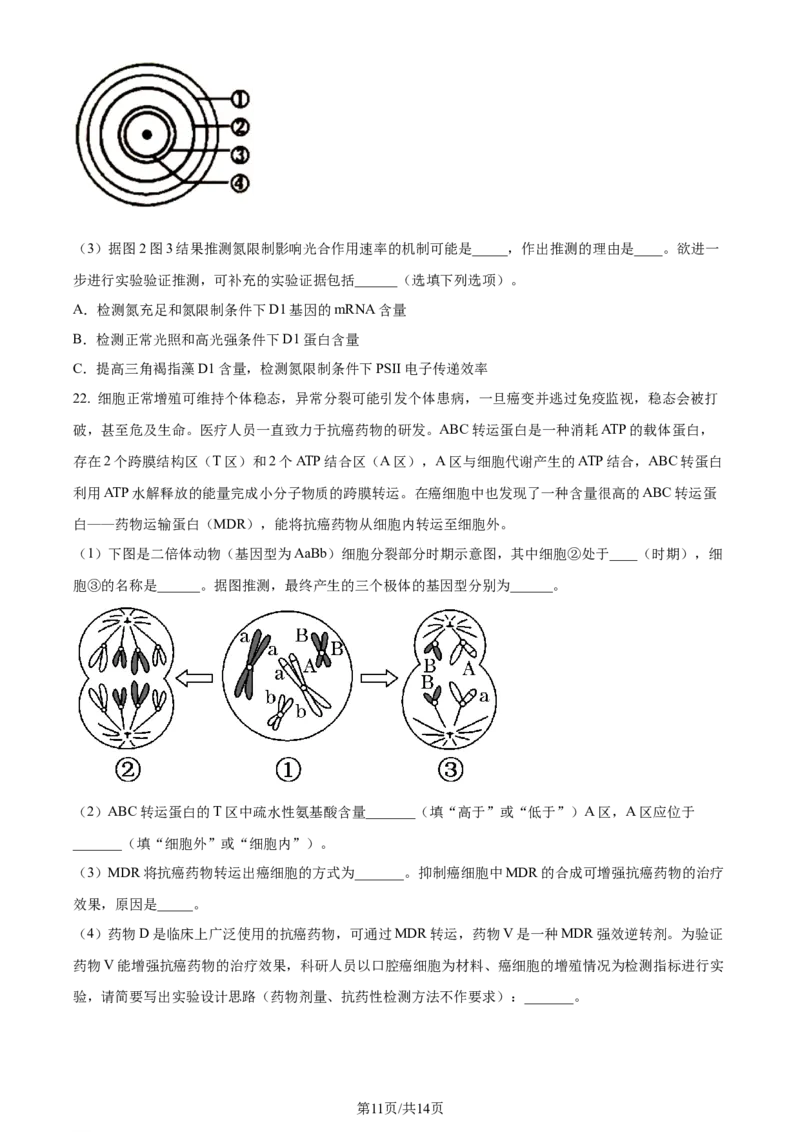 精品解析：2024届山东省名校高三模拟预测生物试题（原卷版）_2024届山东省高中名校高三上学期12月统一调研考试_山东省高中名校2024届高三上学期12月统一调研考试生物