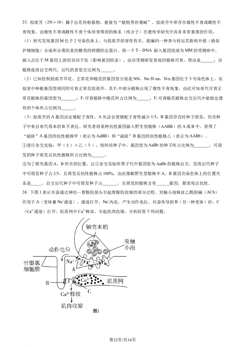 精品解析：2024届山东省名校高三模拟预测生物试题（原卷版）_2024届山东省高中名校高三上学期12月统一调研考试_山东省高中名校2024届高三上学期12月统一调研考试生物
