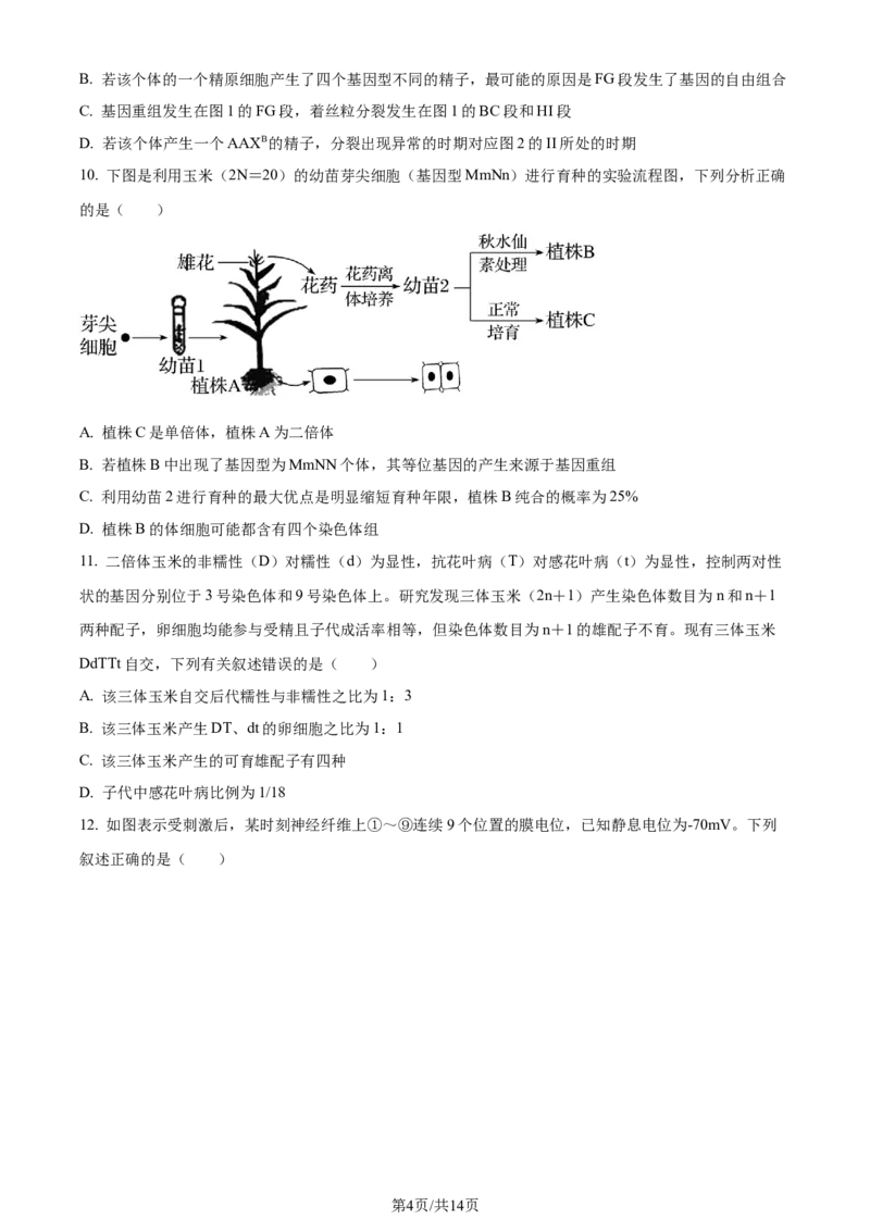 精品解析：2024届山东省名校高三模拟预测生物试题（原卷版）_2024届山东省高中名校高三上学期12月统一调研考试_山东省高中名校2024届高三上学期12月统一调研考试生物