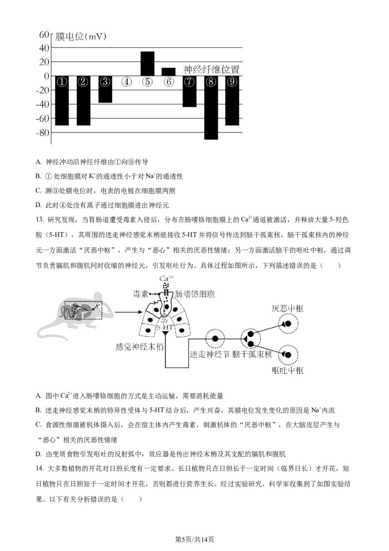 精品解析：2024届山东省名校高三模拟预测生物试题（原卷版）_2024届山东省高中名校高三上学期12月统一调研考试_山东省高中名校2024届高三上学期12月统一调研考试生物