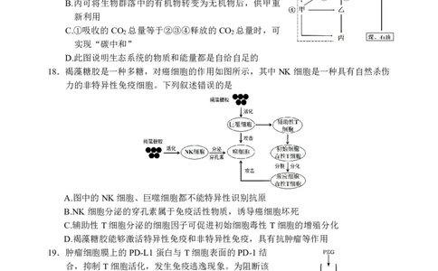 生物试题｜2506丽水高二期末_2025年6月_250628浙江省丽水市2025年6月高二期末考试（全科）
