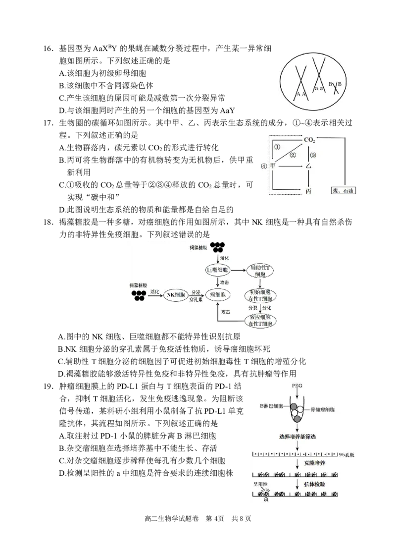 生物试题｜2506丽水高二期末_2025年6月_250628浙江省丽水市2025年6月高二期末考试（全科）