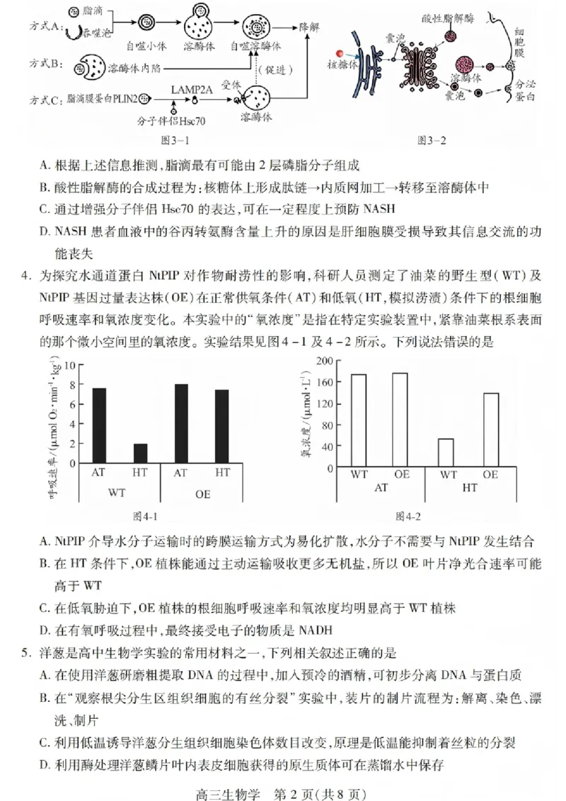 生物试卷_2025年12月_251231四川省乐山市高中2026届高三上学期第一次调查研究考试（全科）_四川省乐山市高中2026届高三上学期第一次调查研究考试生物试题（含答案）