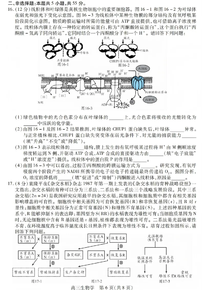 生物试卷_2025年12月_251231四川省乐山市高中2026届高三上学期第一次调查研究考试（全科）_四川省乐山市高中2026届高三上学期第一次调查研究考试生物试题（含答案）