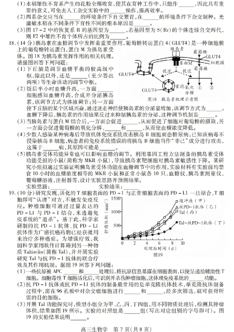 生物试卷_2025年12月_251231四川省乐山市高中2026届高三上学期第一次调查研究考试（全科）_四川省乐山市高中2026届高三上学期第一次调查研究考试生物试题（含答案）